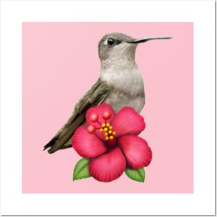 Hummingbird Hibiscus! Posters and Art